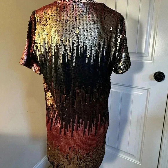 Ombré Sequined Dress - Picture 6 of 9